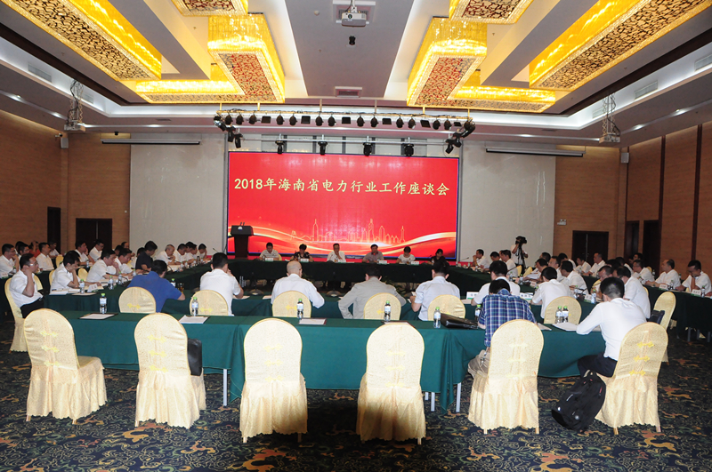 2018年海南省电力行业工作座谈会