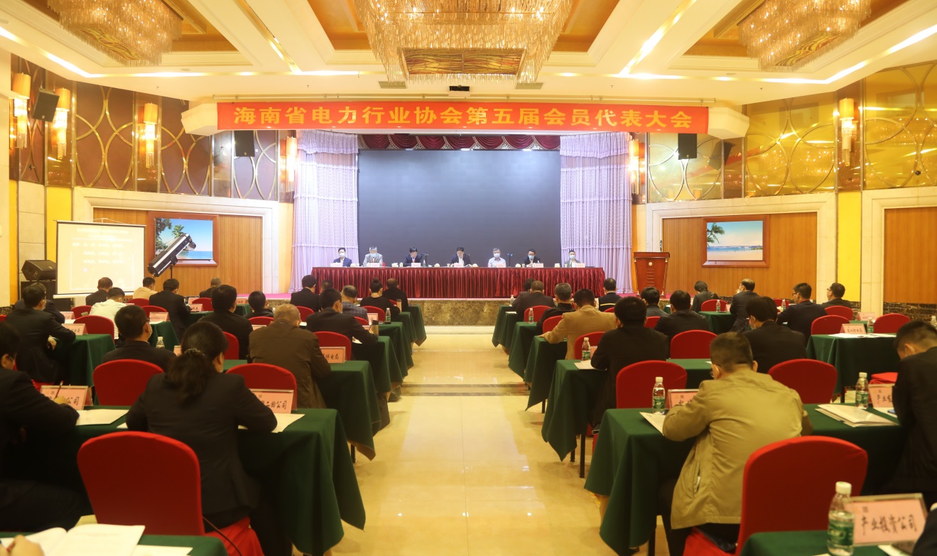热烈庆祝海南省电力行业协会第五届会员...