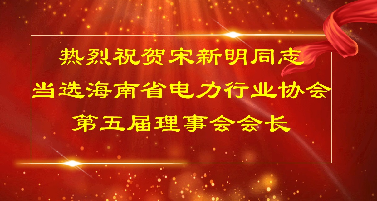 热烈祝贺宋新明同志当选海南省电力行业协会第五届理事会会长